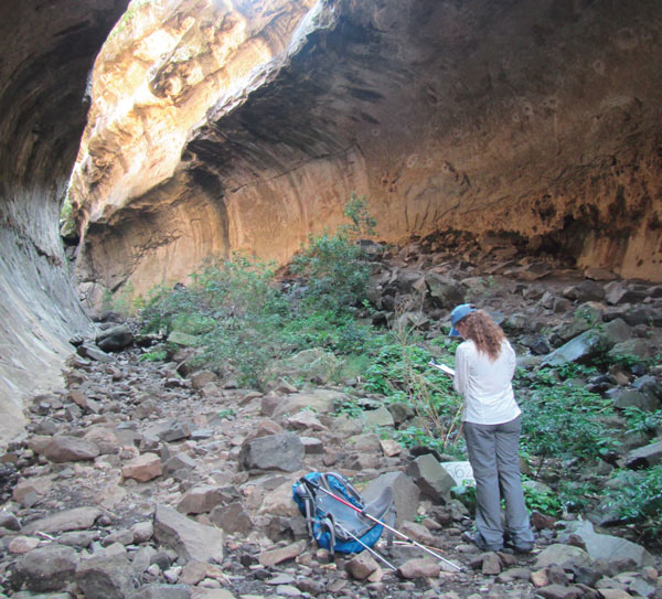 Mia Momberg surveys for Euphorbia clavarioides cushion plants in Echo Ravine at the Golden Gate Highlands National Park