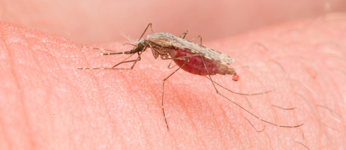 Remote sensing for malaria control