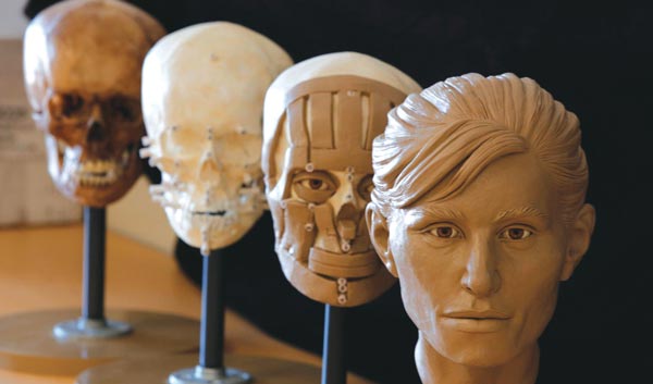 Forensic facial reconstruction sculpture